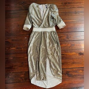 Zhivago Size Medium Metallic Dress